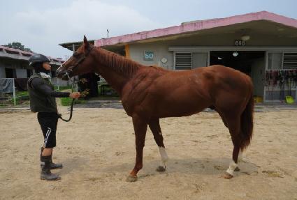 ����ũ��� ����