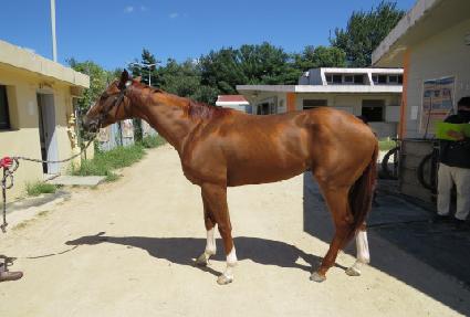 ����Ʈ���� ����