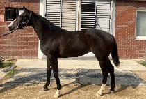 SOLNAEEUM GANG picture