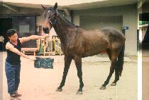 �±��� (TAE GEUK JIN) ����