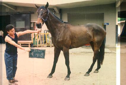 �±��� ����