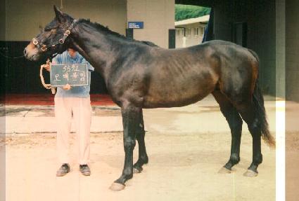 ���źҸ� ����