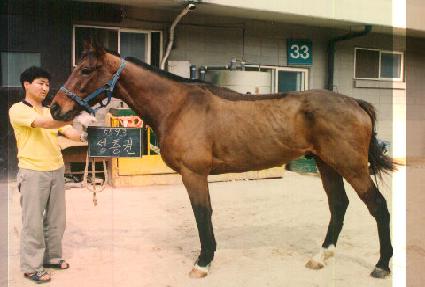 ������ ����