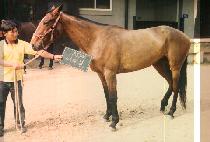 ��� (OU TEUN NAL) ����