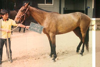 ��� ����