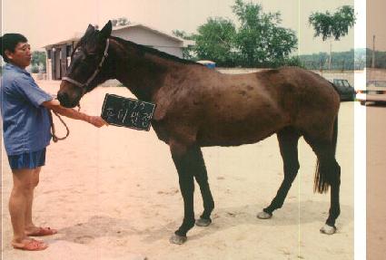 ��̸��� ����