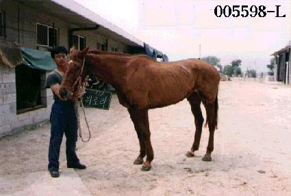 �߷ζ� ����