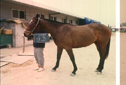 ���� ����