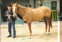 ����ȣ (SO JEUNG HO) ����