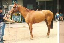 �ۻ� (GEUL SAEM) ����