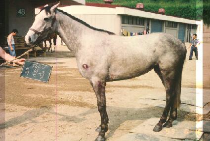 Ư�ϱ� ����