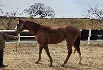 TWOTWO SPACE picture