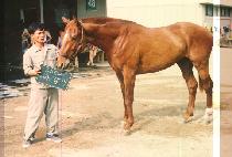 ȭ���� (HWA KANG AM) ����