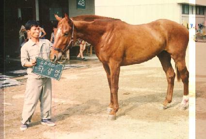 ȭ���� ����