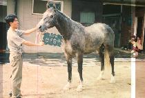 �ﰢ�Լ� (SAM KAK HAM SOO) ����