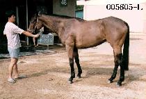 �ְ���� (JU GA SANG SEUNG) ����