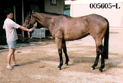 �ְ���� ����