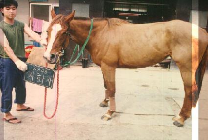 ��ȭ�� ����