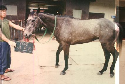 ī���� ����