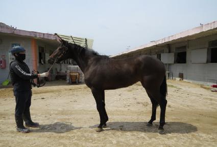 �������Ʈ ����