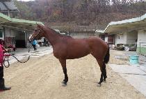 ���������� (JISAN FRIEND) ����