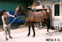 Ư���� (TEU KI JEUM) ����