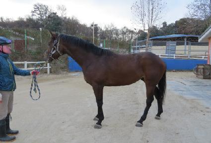 ���̽����� ����