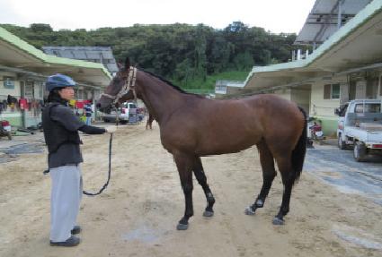 ������� ����