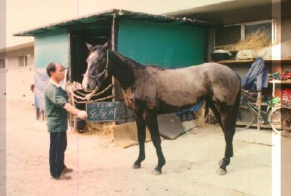 ������ ����