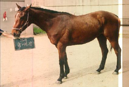 �ݻ��� ����