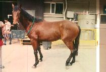 �Ѽ��� (HAN SOON GAN) ����