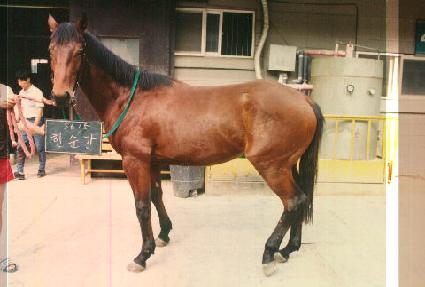 �Ѽ��� ����