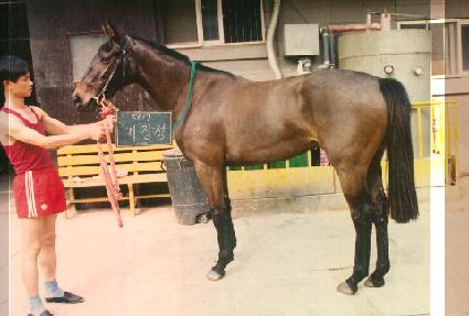 ������ ����