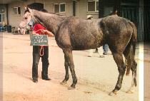 ũ���Ľ� (CRAPAS) ����