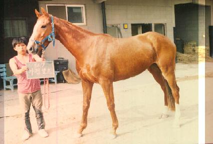 �������� ����