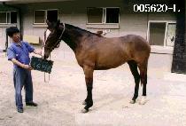 ��º�� (WOO SEUNG BI GYEUL) ����