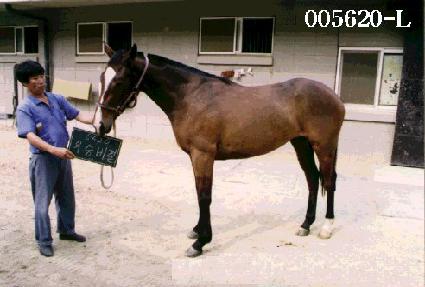 ��º�� ����