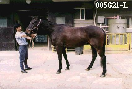 ǰ���� ����