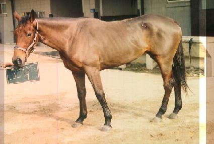 ���� ����