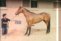 �Լ� (IB SEUNG) ����