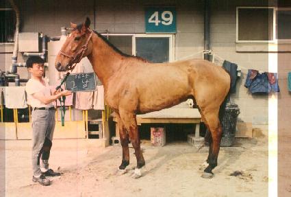 �׳� ����