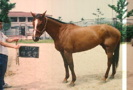 �Ѻ�ž ����