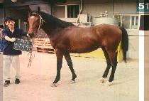 �û�ġ�� (GUNGSANGKAKCHIWOO) ����