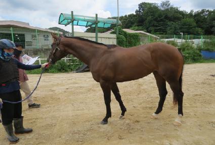 Ʈ�������� ����