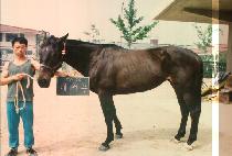 �뼭�� (DAE SEU BU) ����