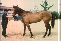 �¸��� (SEUNG RI RO) ����