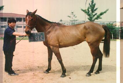 �¸��� ����