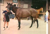 ��ģ�迡 (NAE CHIN GIM E) ����