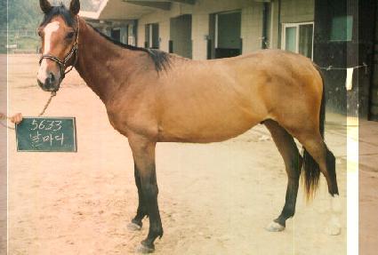 ������ ����