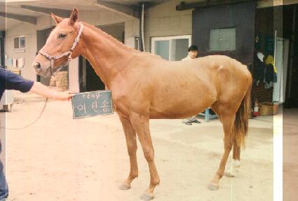 ���μ� ����